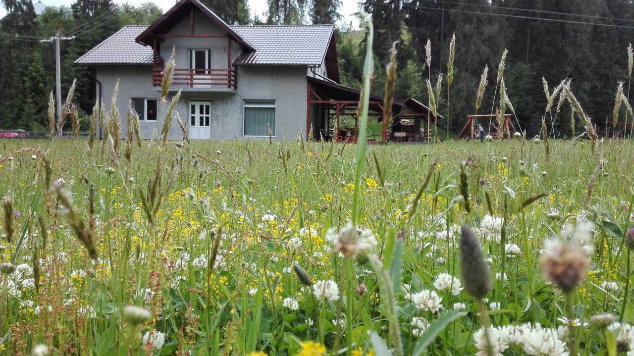 Cabana Georgiana Arieşeni Екстериор снимка